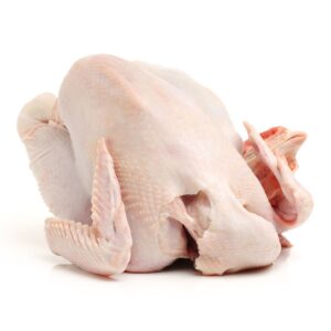gallina