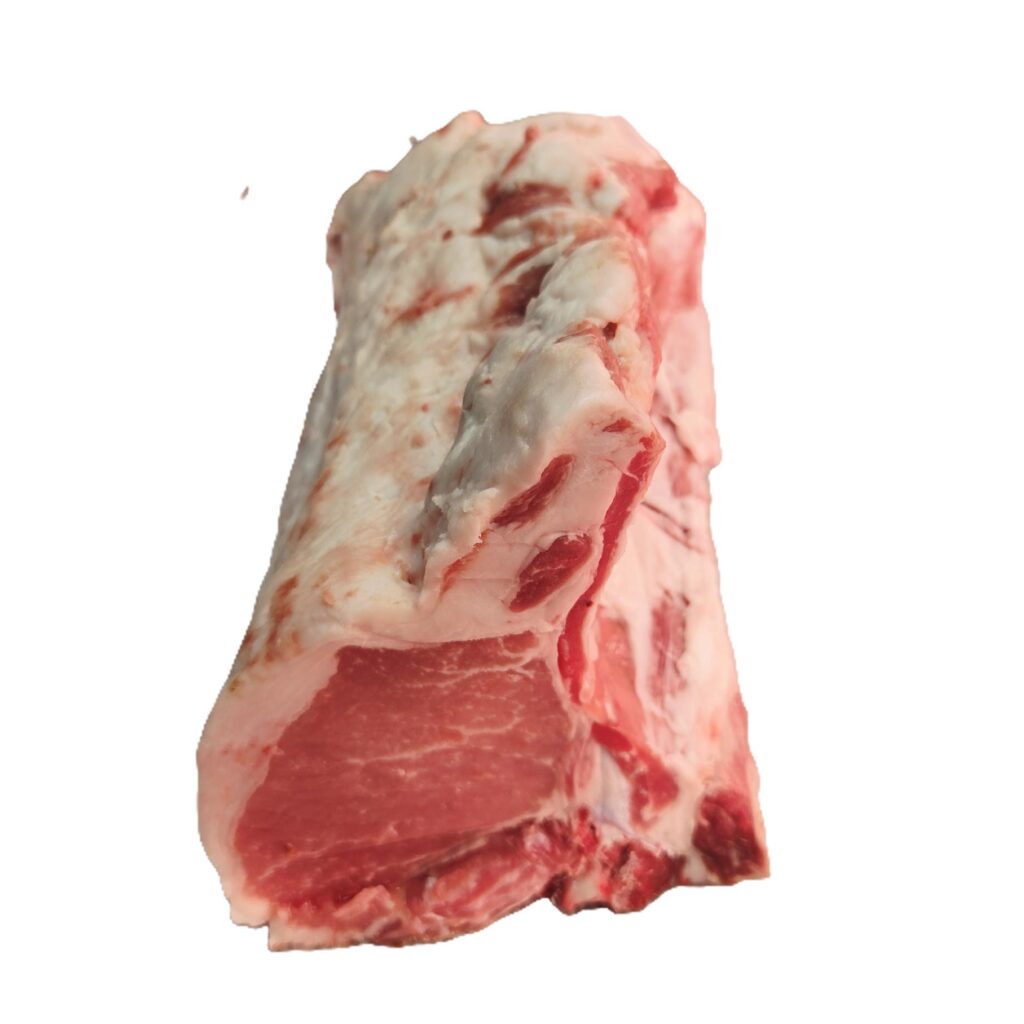llonsat iberic