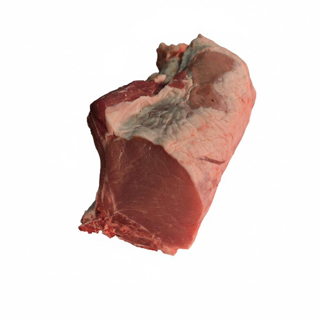 llonsat porc